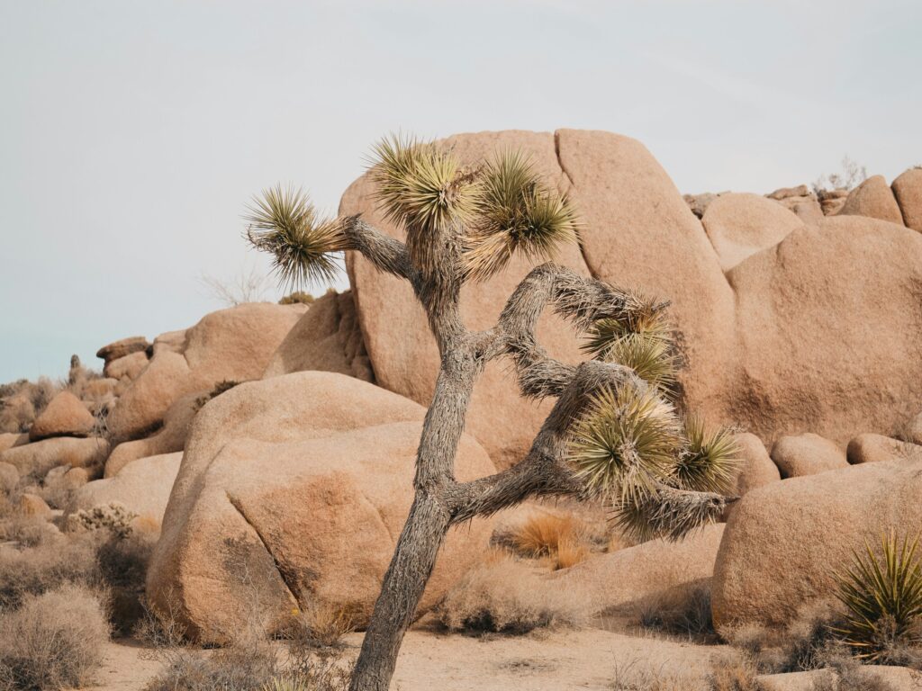 Fox Best Finds travel pic 2